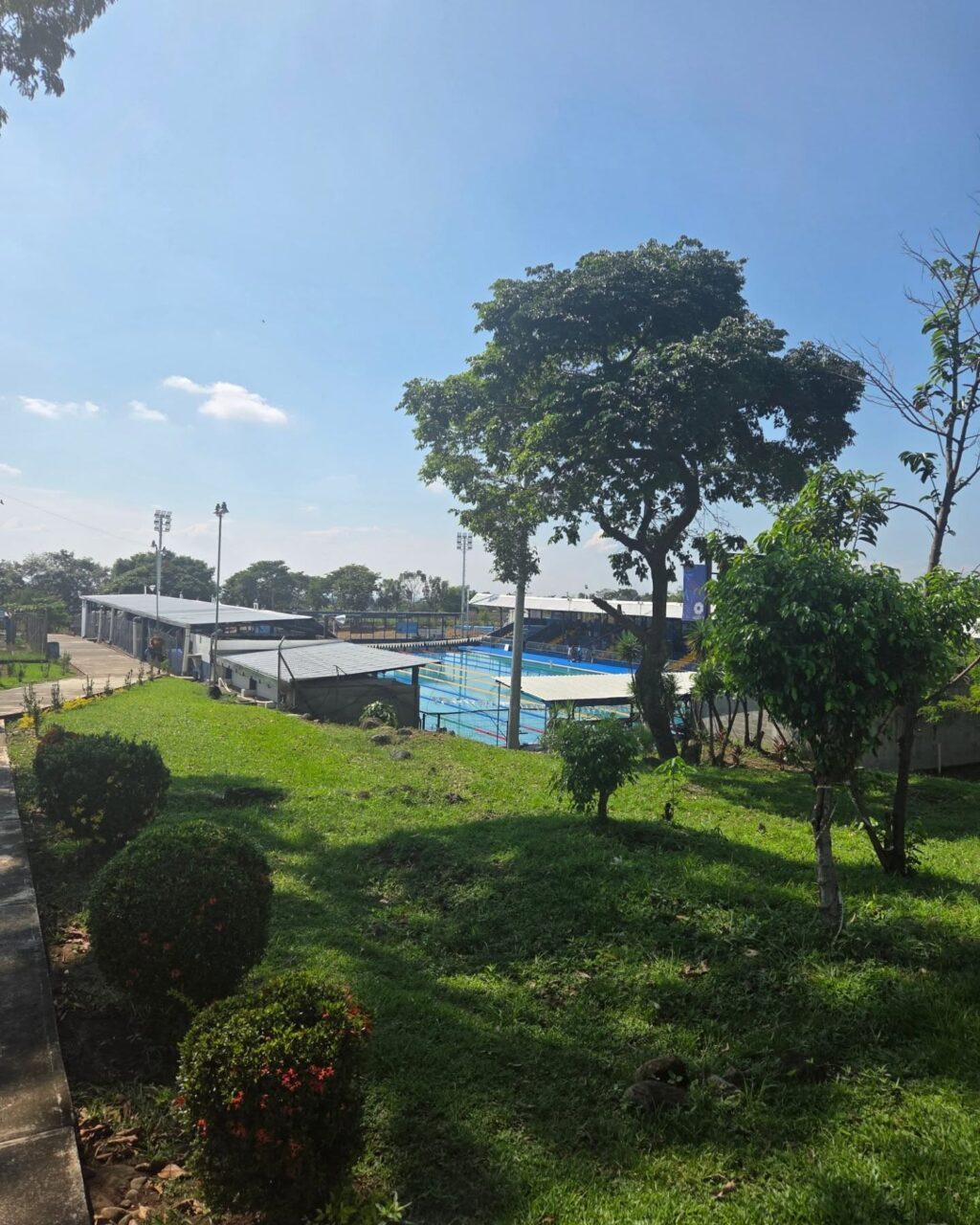 Instagram post from azurafloridaaquatics. This post is in position 15.