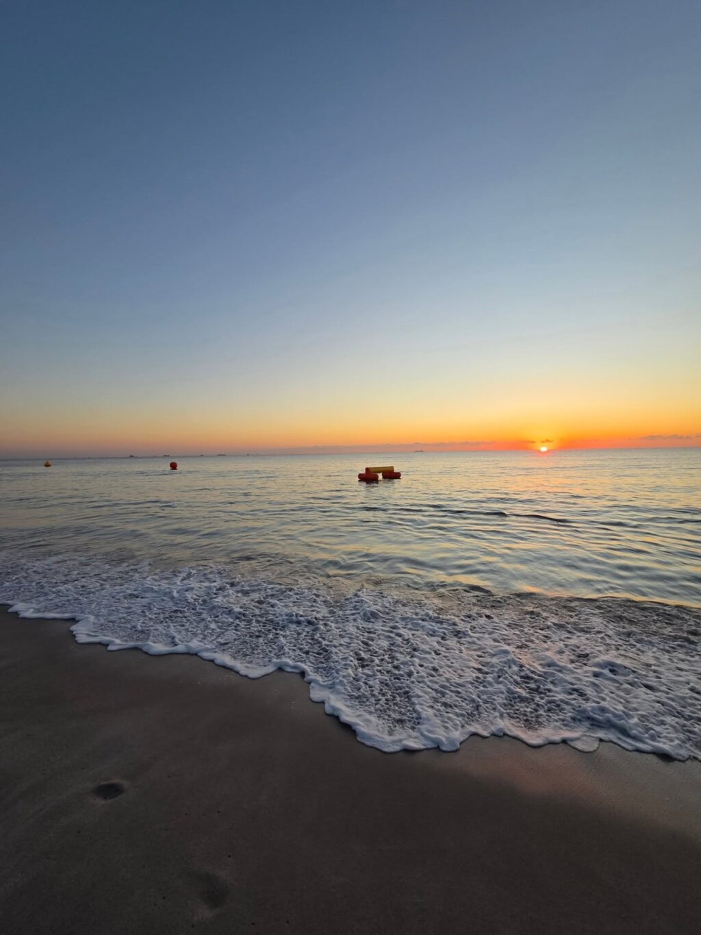 Instagram post from azurafloridaaquatics. This post is in position 11.