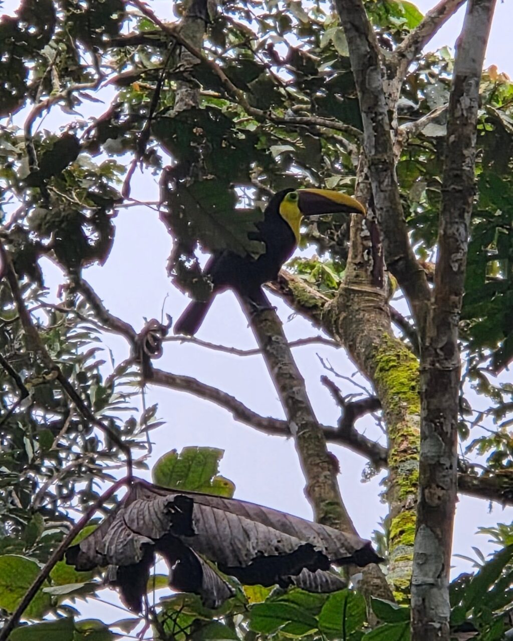 Instagram post from azurafloridaaquatics. This post is in position 6.