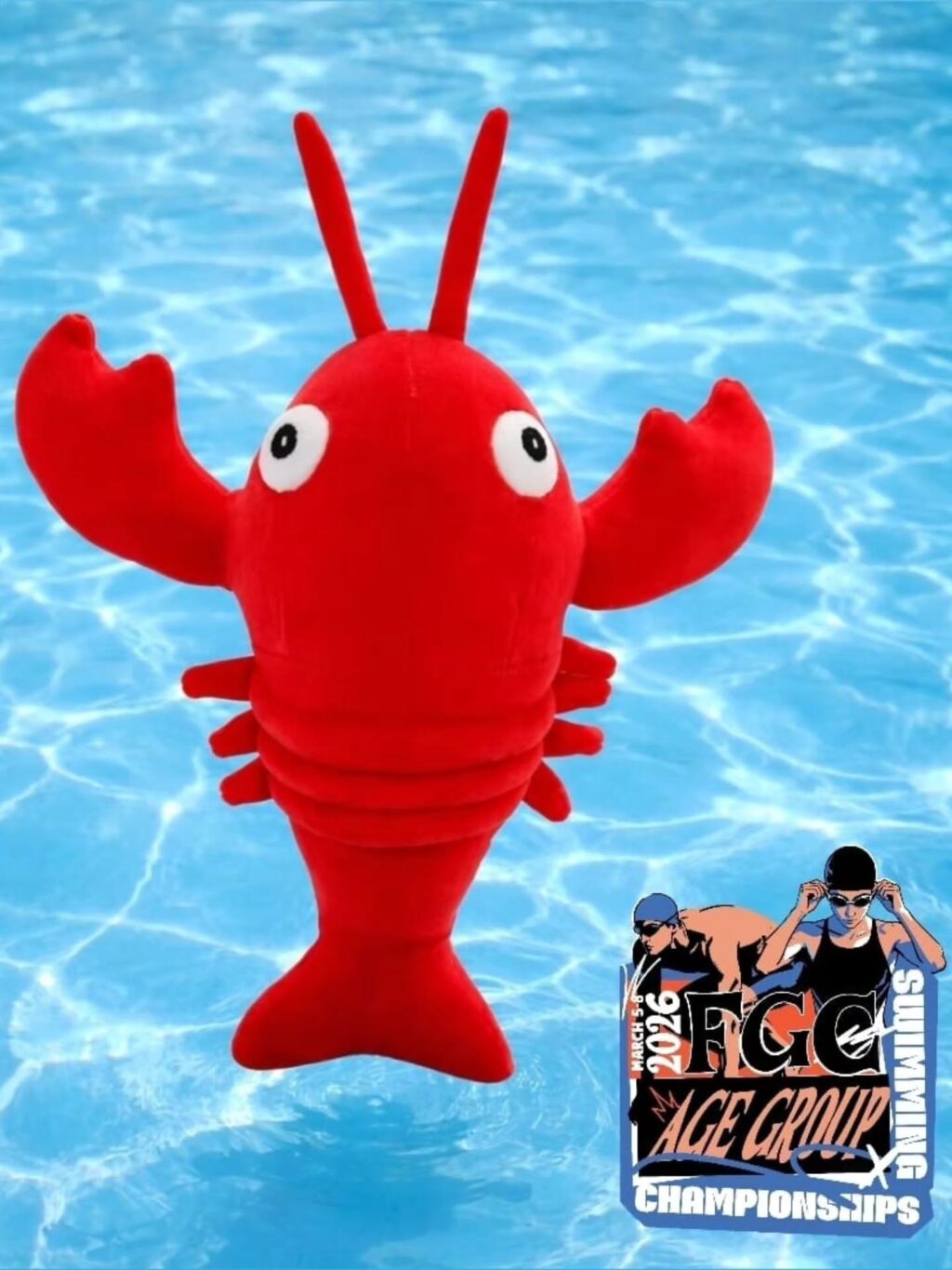 Instagram post from azurafloridaaquatics. This post is in position 6.