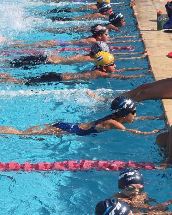 Instagram post from azurafloridaaquatics. This post is in position 5.