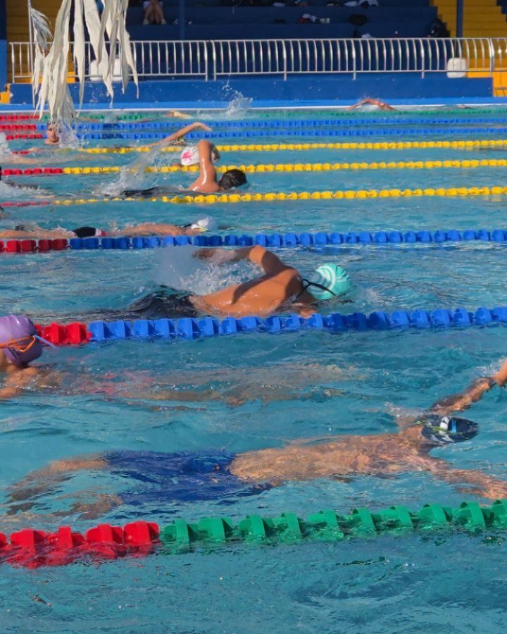 Instagram post from azurafloridaaquatics. This post is in position 6.