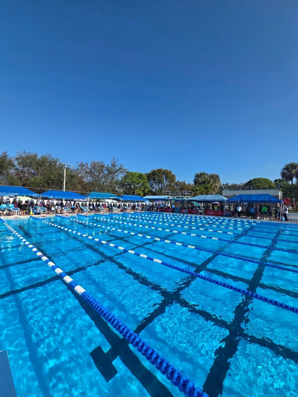 Instagram post from azurafloridaaquatics. This post is in position 4.