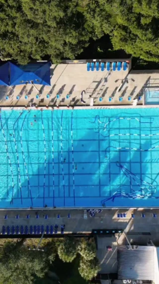 Instagram post from azurafloridaaquatics. This post is in position 1.