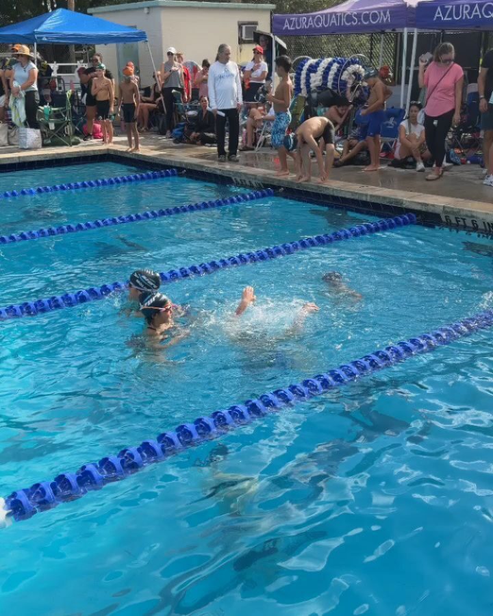 Instagram post from azurafloridaaquatics. This post is in position 4.