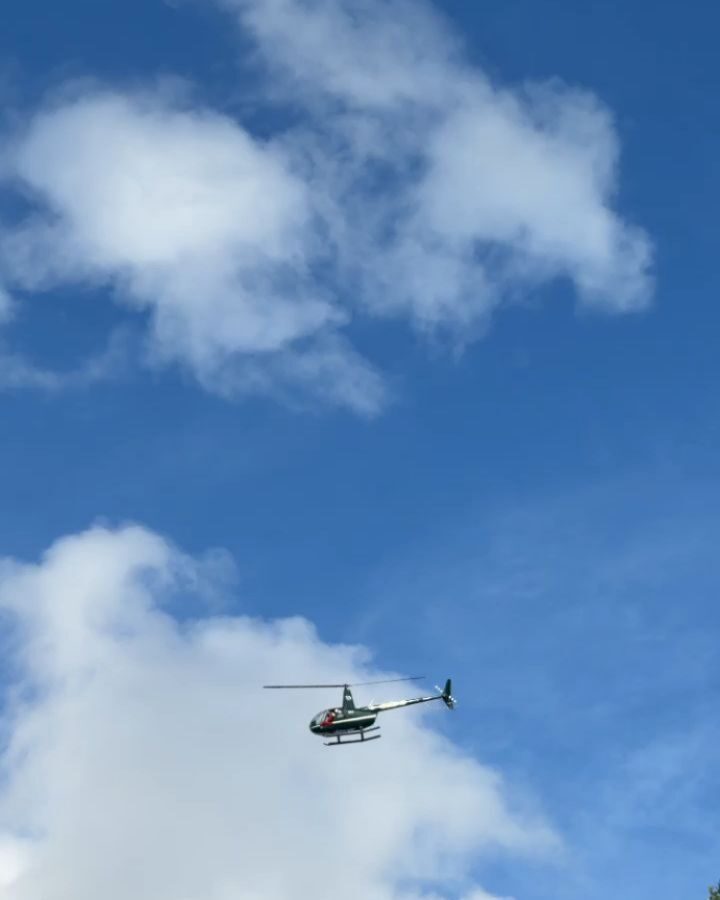 Instagram post from azurafloridaaquatics. This post is in position 1.