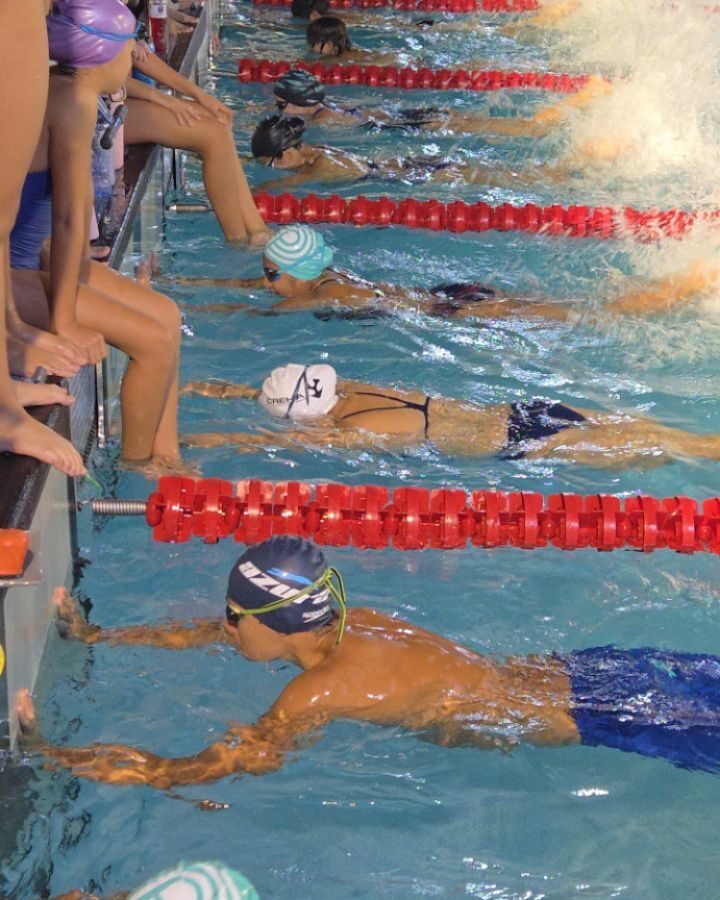 Instagram post from azurafloridaaquatics. This post is in position 12.