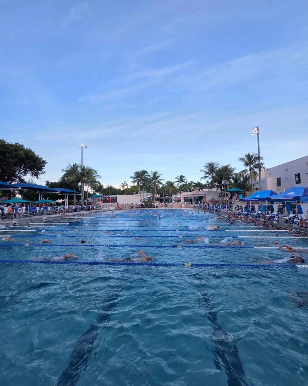 Instagram post from azurafloridaaquatics. This post is in position 1.