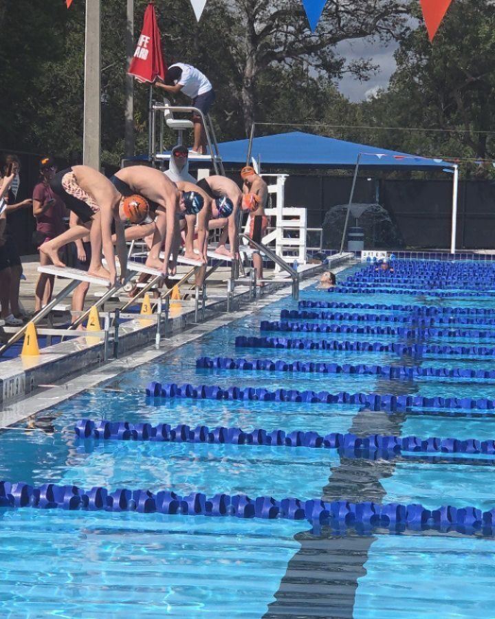 Instagram post from azurafloridaaquatics. This post is in position 3.