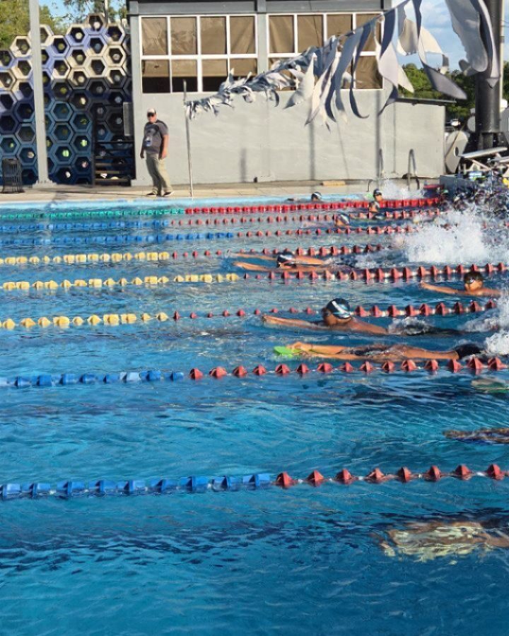 Instagram post from azurafloridaaquatics. This post is in position 5.